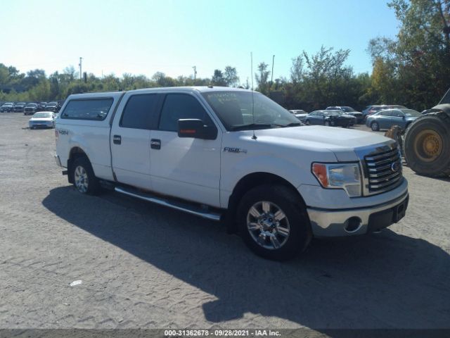 FORD F-150 2010 1ftfw1ev4afc05984