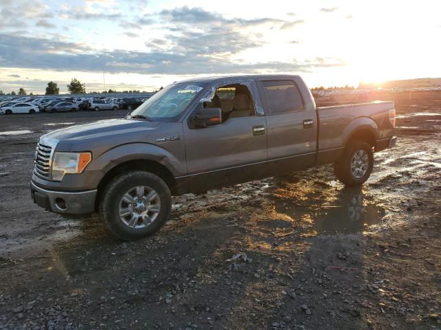 FORD F-150 2010 1ftfw1ev4afc59141