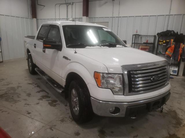 FORD F150 SUPER 2010 1ftfw1ev4afd11643