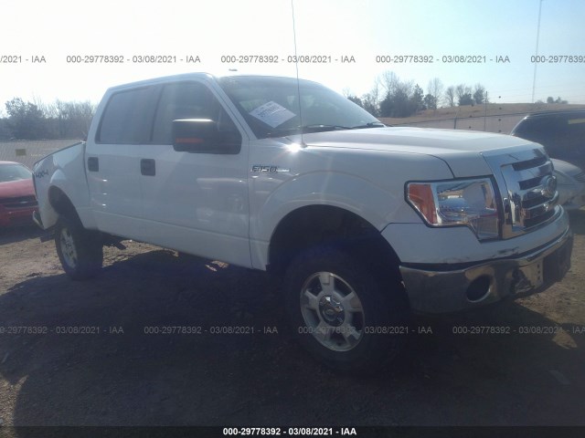 FORD F-150 2010 1ftfw1ev4afd65198