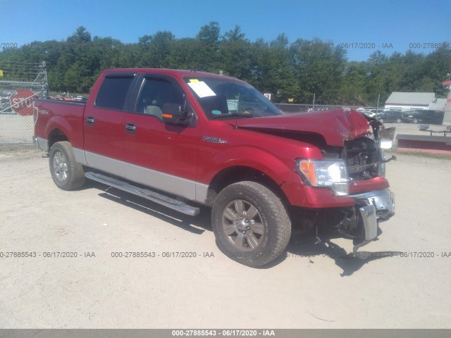 FORD F-150 2010 1ftfw1ev4afd69803