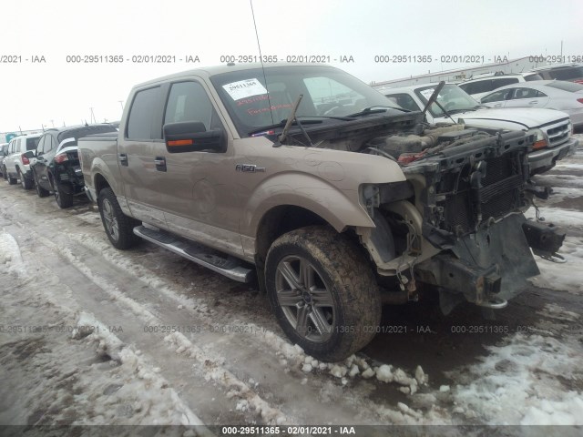 FORD F-150 2010 1ftfw1ev4afd79263