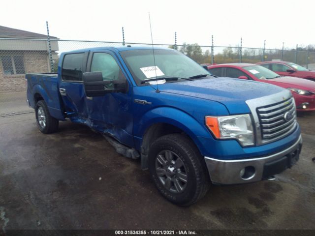 FORD F-150 2010 1ftfw1ev5afb63731