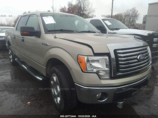 FORD F-150 2010 1ftfw1ev5afb89827