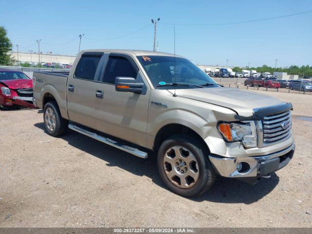 FORD F-150 2010 1ftfw1ev5afc20915