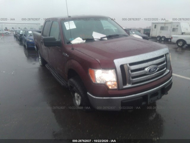 FORD F-150 2010 1ftfw1ev5afc24186