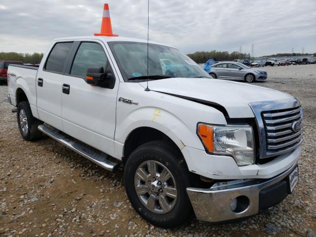 FORD F150 SUPER 2010 1ftfw1ev5afc28013