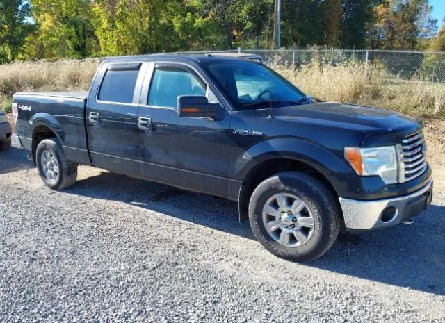 FORD F-150 2010 1ftfw1ev5afc28688