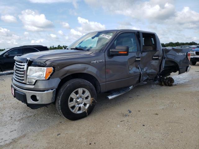 FORD F150 SUPER 2010 1ftfw1ev5afc45961