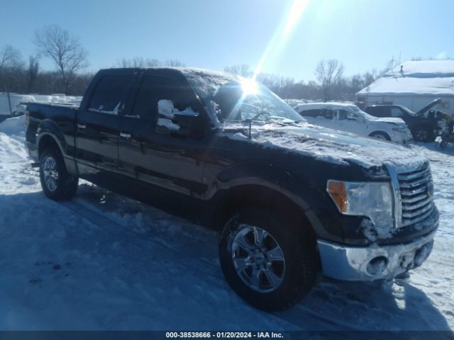 FORD F-150 2010 1ftfw1ev5afd00764