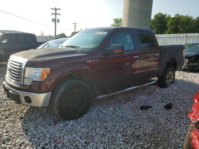 FORD F150 2010 1ftfw1ev5afd53948