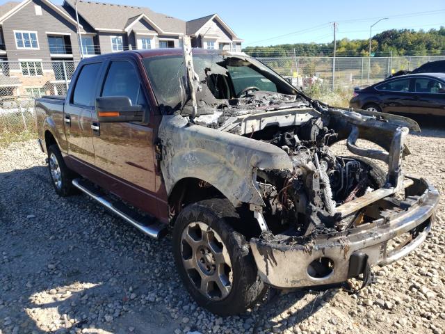 FORD F150 SUPER 2010 1ftfw1ev5afd74797