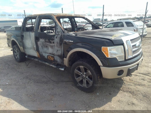 FORD F-150 2010 1ftfw1ev5ake36030