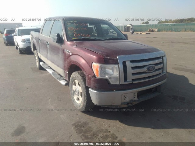 FORD F-150 2010 1ftfw1ev5ake81923