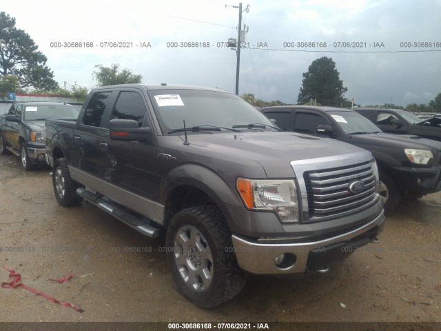 FORD F-150 2010 1ftfw1ev6afa10291