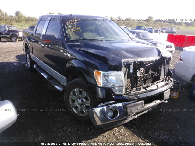 FORD F-150 2010 1ftfw1ev6afa52251