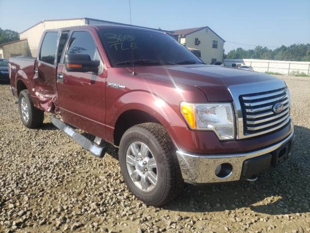 FORD F150 SUPER 2010 1ftfw1ev6afb15672