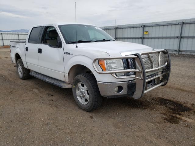 FORD F150 SUPER 2010 1ftfw1ev6afc37111