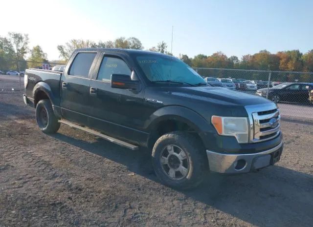 FORD F-150 2010 1ftfw1ev6afc59674