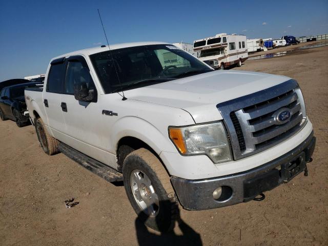 FORD F150 SUPER 2010 1ftfw1ev6afd20392