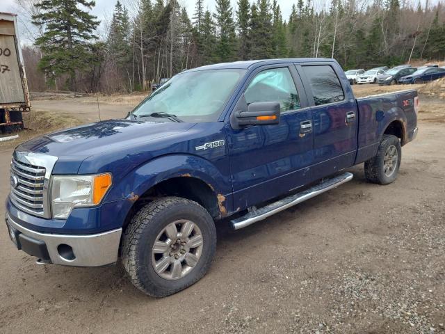 FORD F-150 2010 1ftfw1ev6afd45552