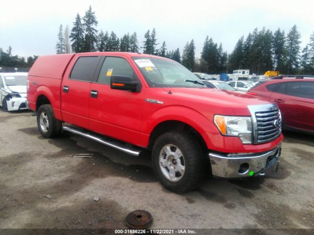 FORD F-150 2010 1ftfw1ev6afd59239