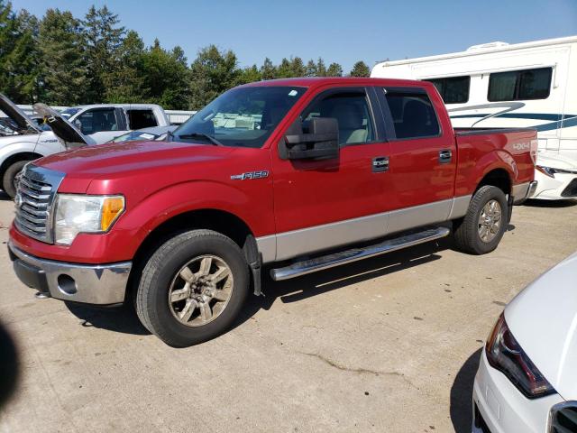 FORD F-150 2010 1ftfw1ev6afd75313