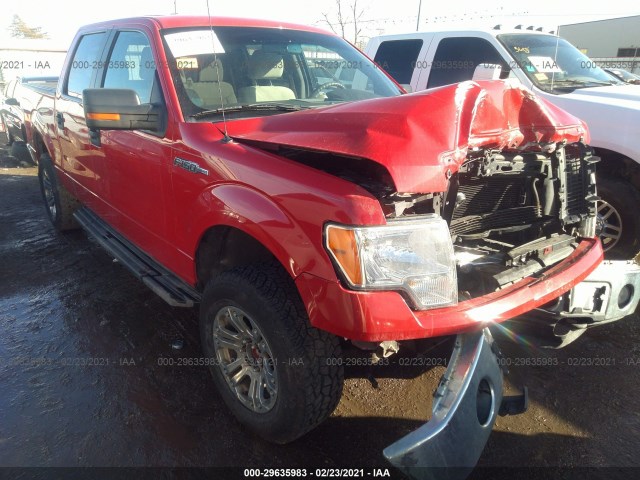 FORD F-150 2010 1ftfw1ev6ake03554