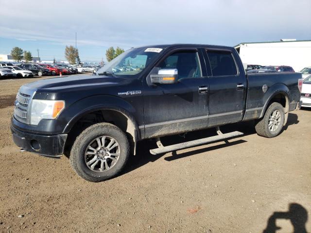 FORD F150 SUPER 2010 1ftfw1ev7afa38648