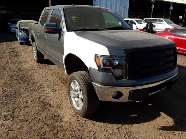 FORD F150 SUPER 2010 1ftfw1ev7afb48485