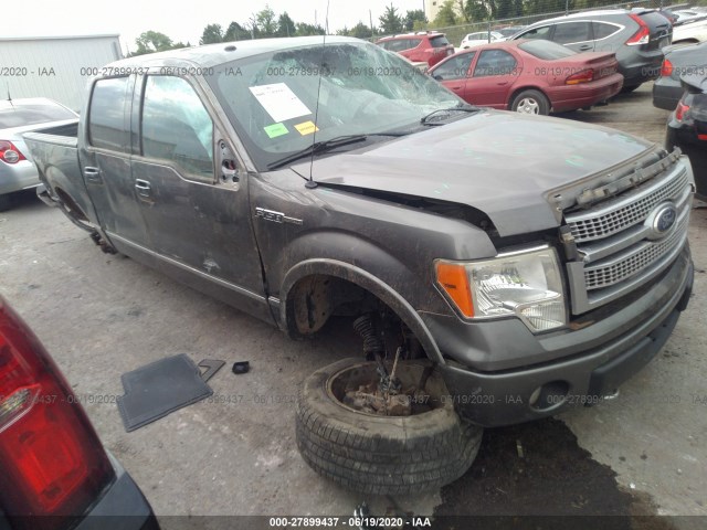 FORD F-150 2010 1ftfw1ev7afb49149