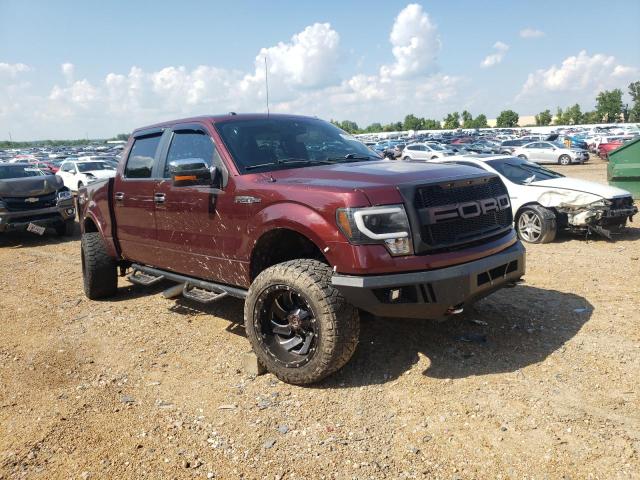 FORD F-150 2010 1ftfw1ev7afc41149