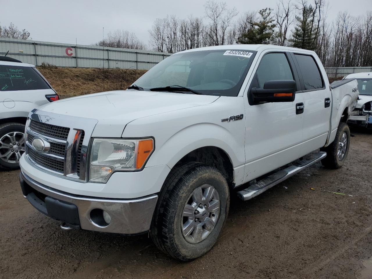 FORD F-150 2010 1ftfw1ev7afd03309