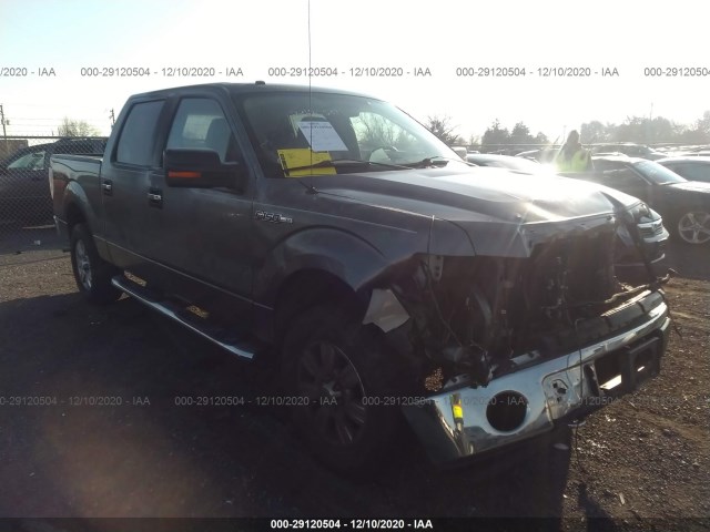 FORD F-150 2010 1ftfw1ev7afd16528