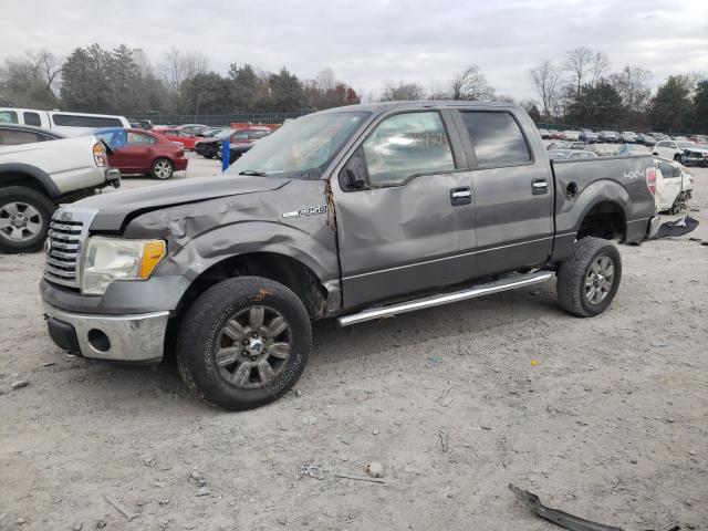 FORD F-150 2010 1ftfw1ev7afd24306