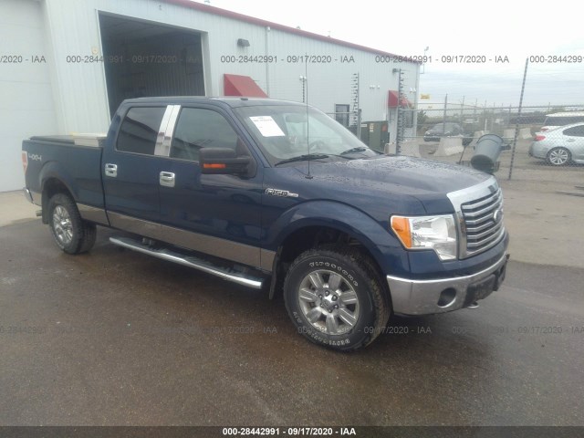 FORD F-150 2010 1ftfw1ev7afd33538