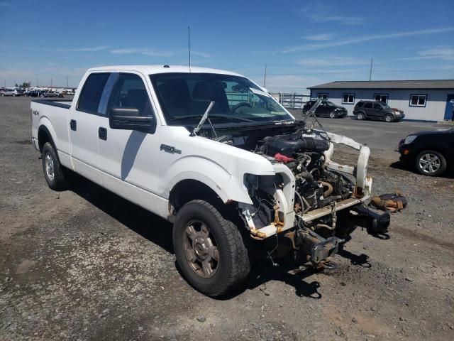 FORD F150 SUPER 2010 1ftfw1ev7afd36424