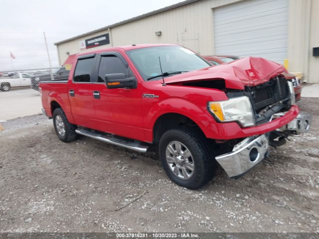 FORD F-150 2010 1ftfw1ev7afd38383