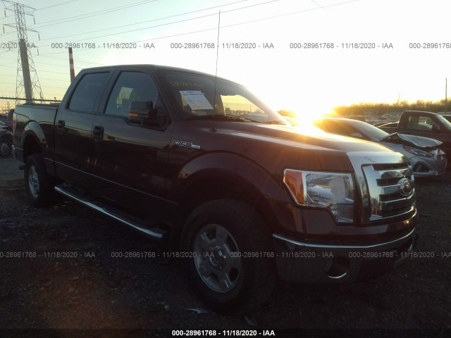 FORD F-150 2010 1ftfw1ev7afd64885