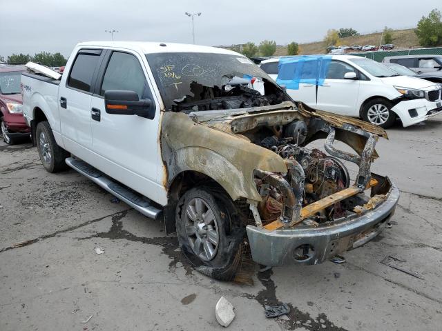 FORD F150 SUPER 2010 1ftfw1ev7ake43061