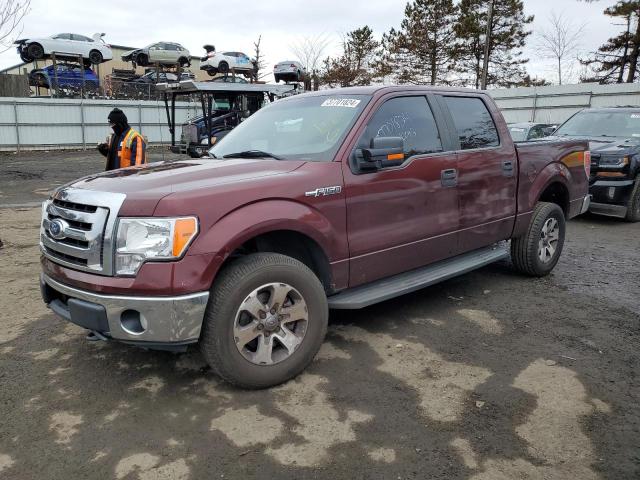 FORD F150 2010 1ftfw1ev7ake66954