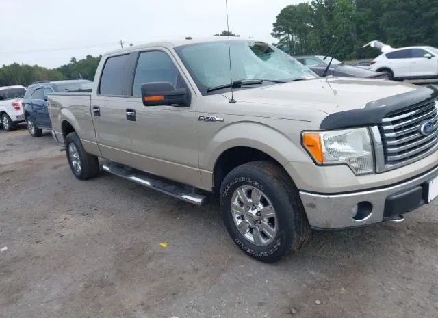 FORD F-150 2010 1ftfw1ev8afa04282