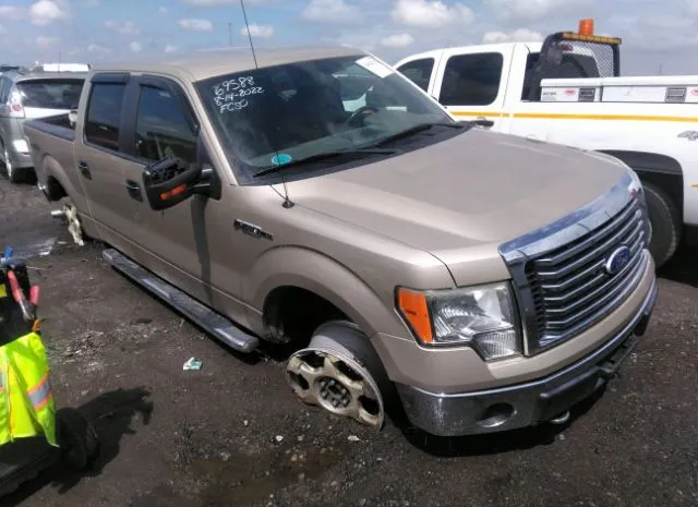 FORD F-150 2010 1ftfw1ev8afa13712