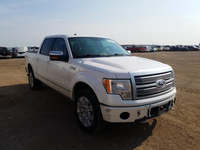 FORD F150 SUPER 2010 1ftfw1ev8afa64336