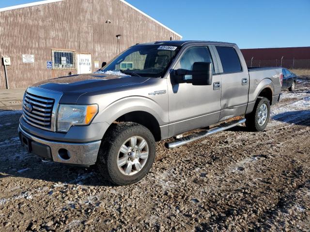 FORD F-150 2010 1ftfw1ev8afa98843