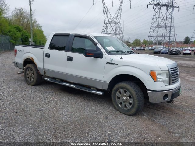 FORD F-150 2010 1ftfw1ev8afb25538