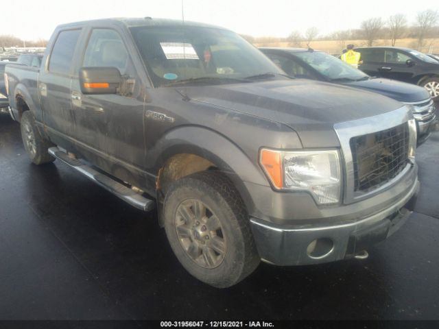 FORD F-150 2010 1ftfw1ev8afb26463