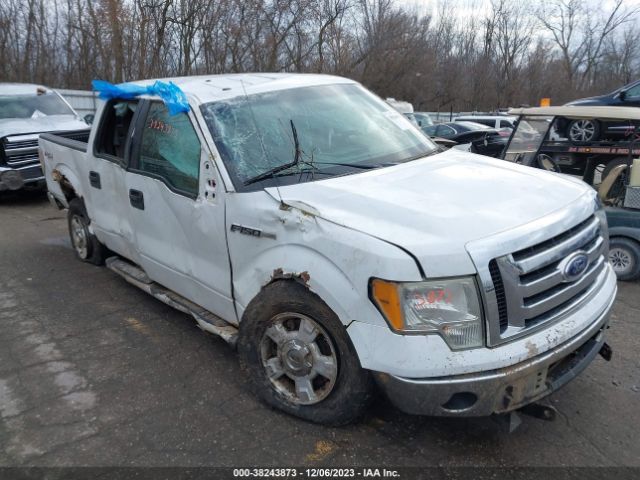 FORD F-150 2010 1ftfw1ev8afc93891