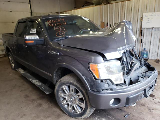 FORD F150 SUPER 2010 1ftfw1ev8afc94488