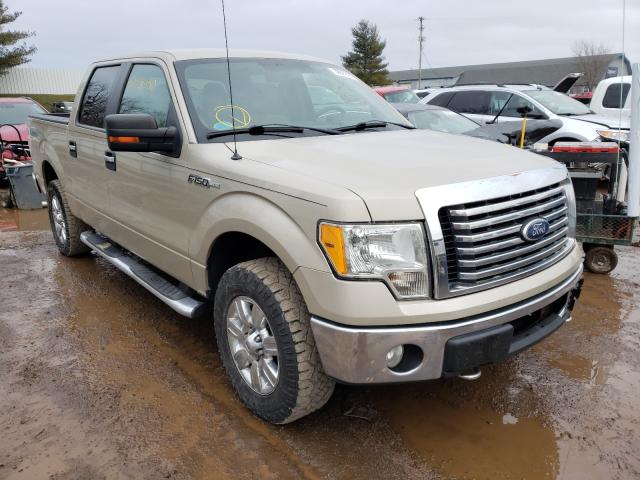 FORD F150 SUPER 2010 1ftfw1ev8afd10771